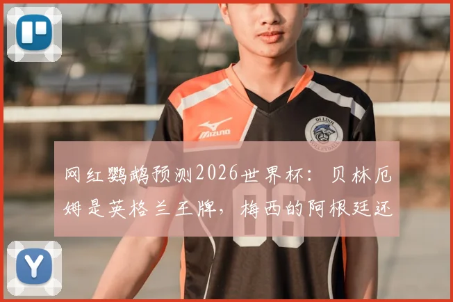 网红鹦鹉预测2026世界杯:贝林厄姆是英格兰王牌,梅西的阿根廷还能战吗?实力对比与历史战绩深度剖析