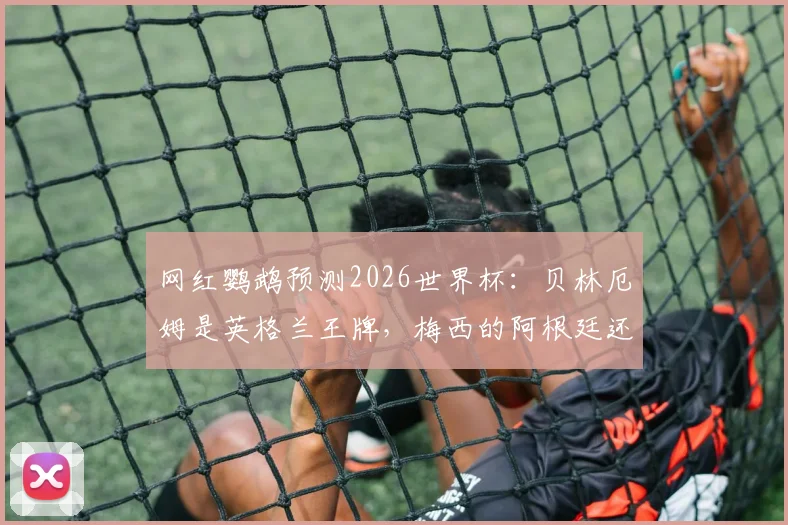 网红鹦鹉预测2026世界杯：贝林厄姆是英格兰王牌，梅西的阿根廷还能战吗？实力对比与历史战绩深度剖析